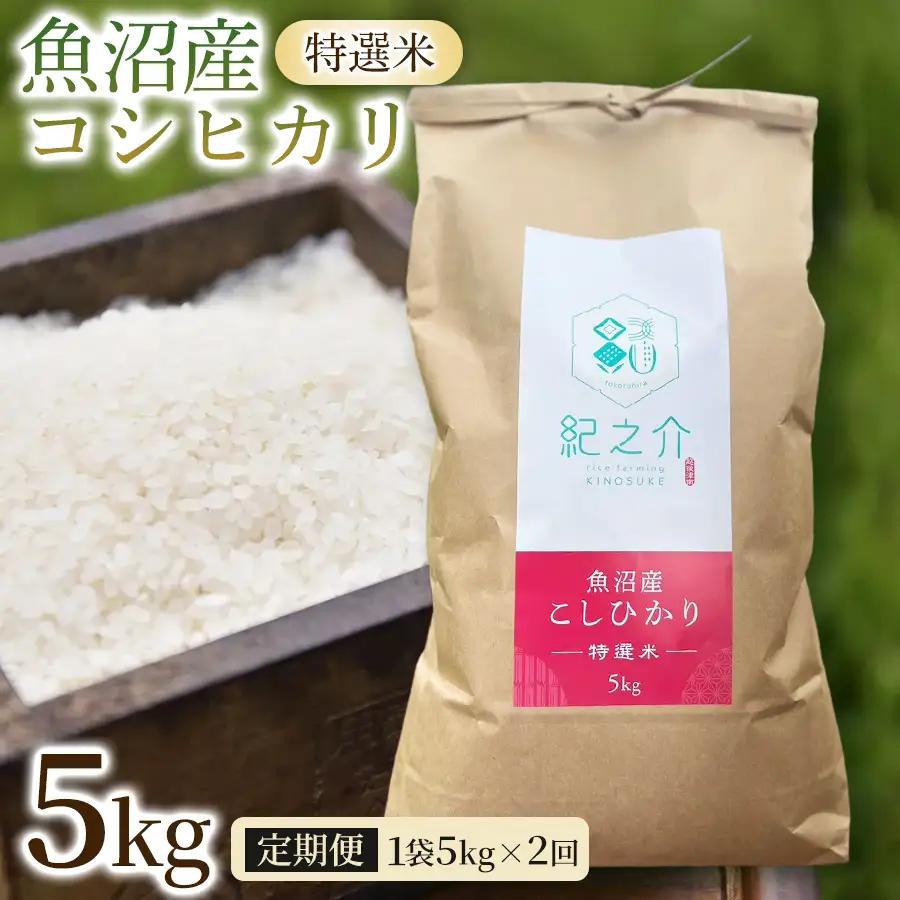 【令和8年産先行予約】【2ヶ月定期便】魚沼産コシヒカリ 特選米 5kg(5kg×1袋) | 津南町 魚沼