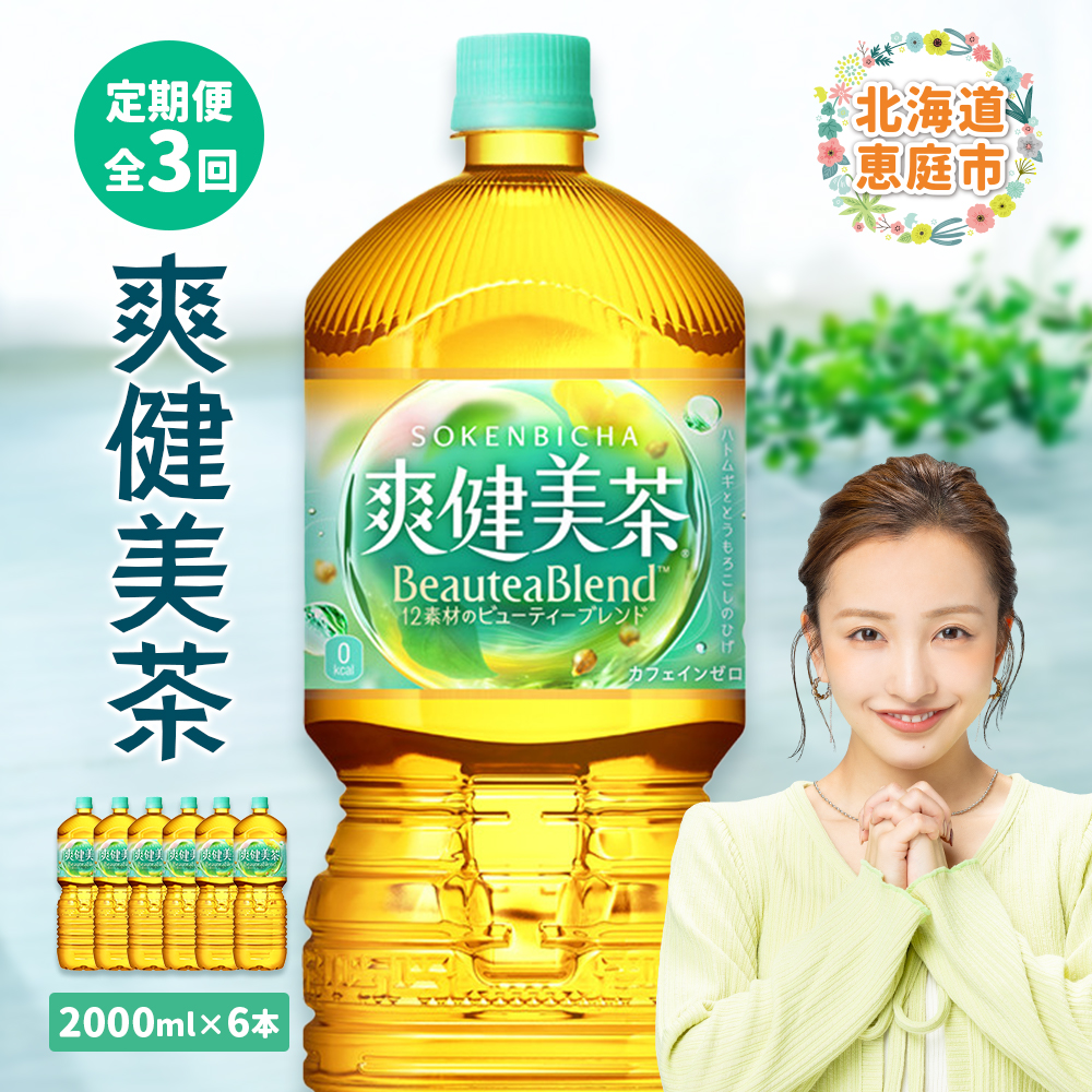 『定期便：全3回』爽健美茶2000mlPET×6本【38000801】