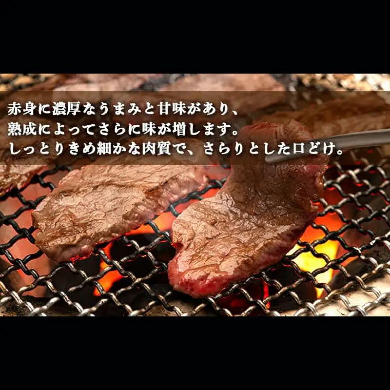 土佐あかうし 和牛肩ロース／焼肉用 500g | あか牛 赤身 旨味 希少 幻 贈り物 ギフト 高知県 南国市