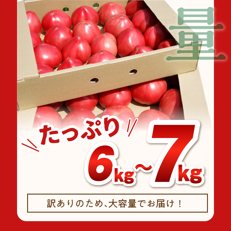 期間限定　真っ赤なトマトわけあり大容量6ｋｇ～7ｋｇ【A9-014】