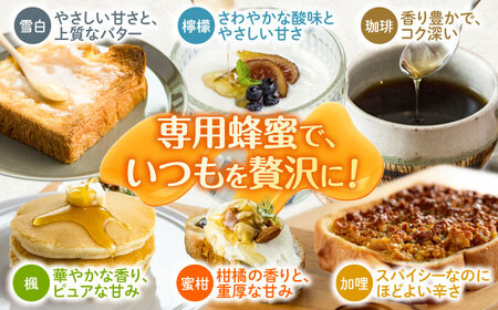はちみつ はちみつDAYS 6種類セット [ANBT007] はちみつ