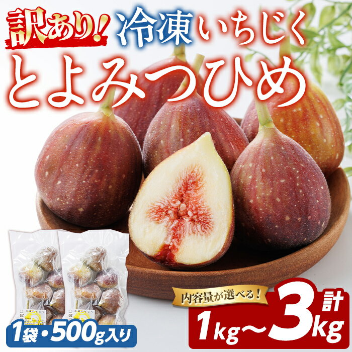 【ふるさと納税】＜内容量が選べる！＞訳あり！冷凍 いちじく とよみつひめ (計1kg～3kg) 冷凍 いちじく イチジク 無花果 フルーツ 果物 くだもの 福岡限定 オリジナルブランド シャーベット コンポート パンケーキ 訳アリ 真空パック 小分け 【農産物直売所ほたるの里】
