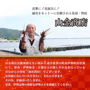 特大　活き伊勢海老Ｄコース 1尾（500～600g）　山金商店　／　伊勢えび　エビ　海老　伊勢志摩産