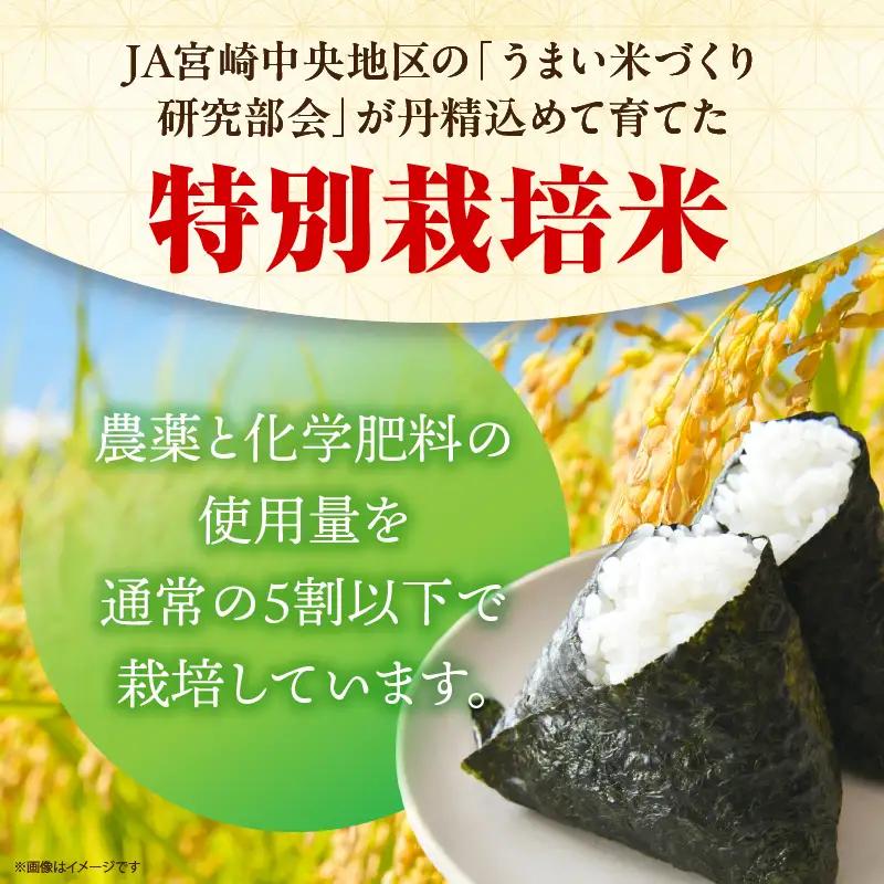 特別栽培米 宮崎県産コシヒカリ 5kg×1袋 米 お米 コシヒカリ 宮崎県産 5kg