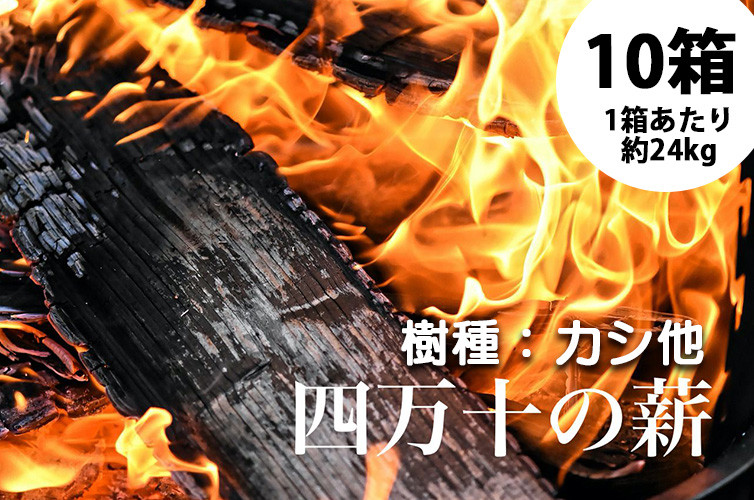 
四万十の薪　1年乾燥　カシ他(約24kg)×10箱　Bnm-14　／乾燥 まき アウトドア キャンプ ファイヤー 薪ストーブ焚き火 焚火 森林 林業 サウナ
