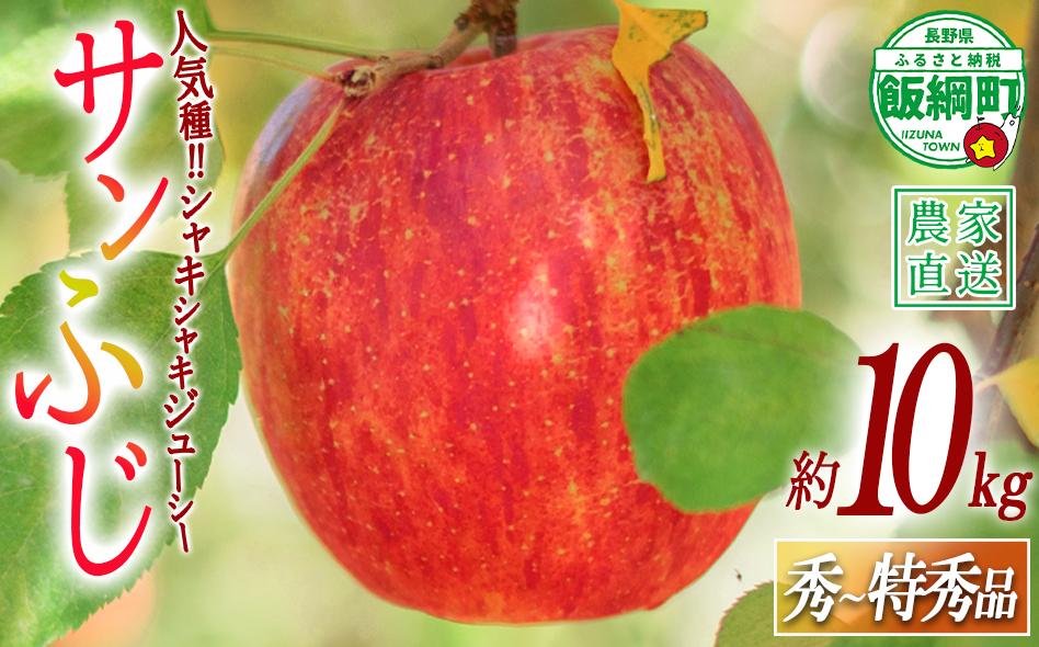 りんご サンふじ 秀 ～ 特秀 10kg 渡辺農園 2026年12月上旬頃から2027年1月中旬頃まで順次発送予定 令和8年度収穫分 エコファーマー認定 減農薬栽培 長野県 飯綱町 [0170]