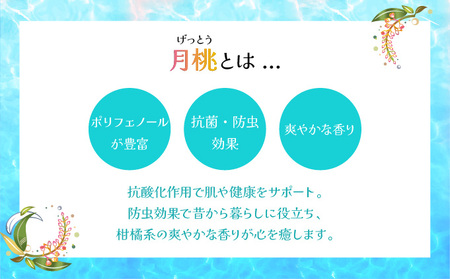 幸－美彩－さちちゅらいろ 月桃バーム（10g）OA-01