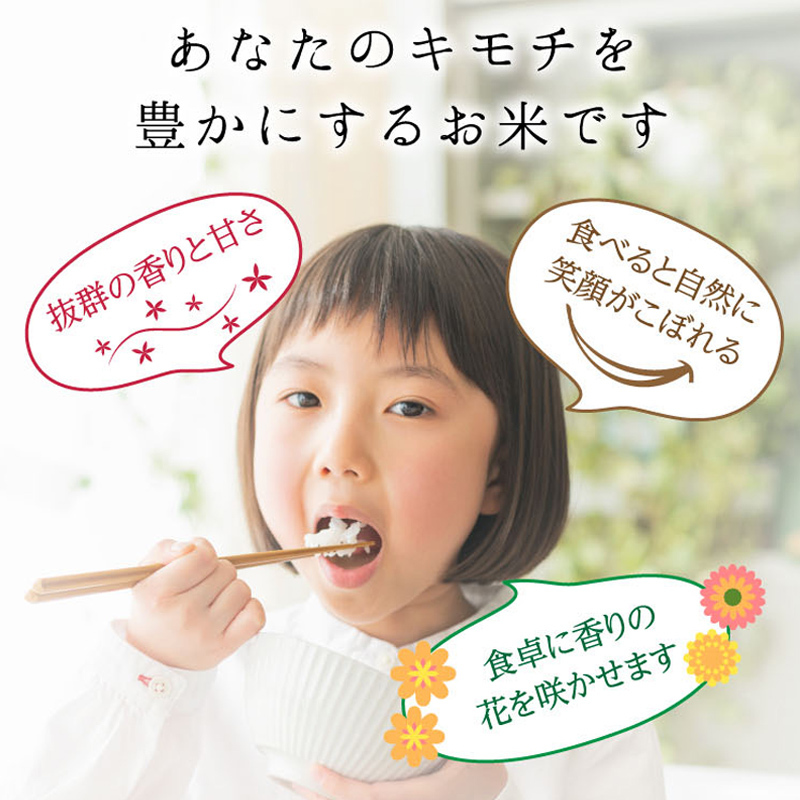 ≪先行予約≫特別栽培米 コシヒカリ ヒロシノキモチ 無洗米 5kg 陽咲玲 米 お米 コメ 白米 ご飯 ごはん 富山県産 富山県 立山町 F6T-809_イメージ2