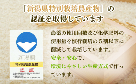 【先行予約・令和7年10月以降発送予定】新米予約 新潟県産 コシヒカリ 5kg 出雲崎産 令和7年産 新潟県産コシヒカリ コシヒカリ白米 コシヒカリ精米 新米コシヒカリ 出雲崎町産コシヒカリ コシヒカ