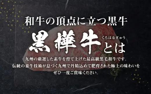 黒樺牛 サーロインステーキ 200g 黒毛和牛 霜降り肉 ステーキ肉 冷凍