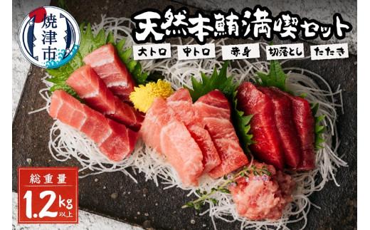 a50-096　天然本鮪満喫セット