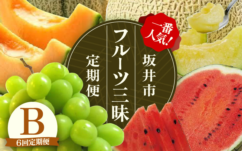 
            【先行予約】【定期便 6回コース】 坂井市フルーツ三昧！！定期便B【2025年6月上旬以降順次発送開始予定】【定期便 くだもの 果物 フルーツ お楽しみ アンデスメロン すいか スイカ マルセイユメロン シャインマスカット アールスメロン 6回】 [J-3216]
          