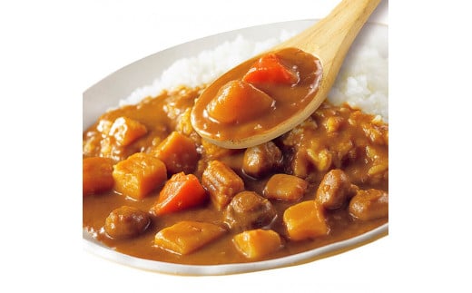 【定期便12回】ココイチ カレーHセット（ビーフ・キーマ・野菜各2個） (毎月お届け）｜カレー CoCo壱番屋 常温保存 非常食 簡単 時短 自宅用 キャンプ  ふるさと納税