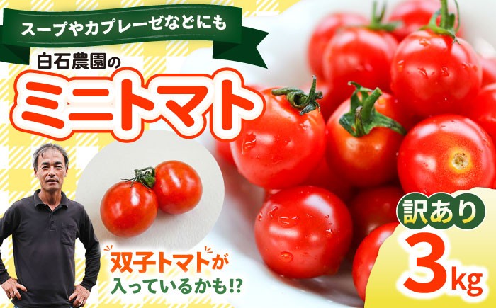 
                  【先行予約：11月より発送】ミニトマト 訳あり トマト 約3kg  みにとまと tomato まぼろしチョイス掲載のお品！ トマト ＜白石農園＞ [CBI003] 長崎県 西海市産 トマト とまと 野菜 新鮮 旬 トマト 訳あり 不揃い 規格外 トマト フレッシュ tomato 訳あり 規格外 不揃い ミニトマト 甘い 高糖度 お取り寄せトマト 贈答トマト リピート 産地直送 新鮮 リコピン 野菜
                