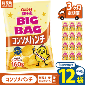 【3ヶ月定期便】カルビー ポテトチップスコンソメパンチ BIGBAG 160g×12個｜Calbee お菓子 菓子 おやつ おかし ぽてち ポテチ スナック おつまみ ジャガイモ じゃがいも（93-59）