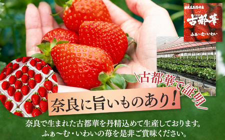 奈良のいちご「古都華～ことか～」大粒厳選 Deluxe（大箱） ※12月下旬頃〜3月下旬頃に順次発送予定　※北海道・沖縄・離島対応不可 | フルーツ くだもの 果物 いちご イチゴ ことか コトカ 古