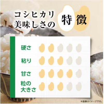 ふるさと納税 桜川市 《 令和7年産 》 コシヒカリ 精米 10kg (茨城県共通返礼品 かすみがうら市) |  | 02