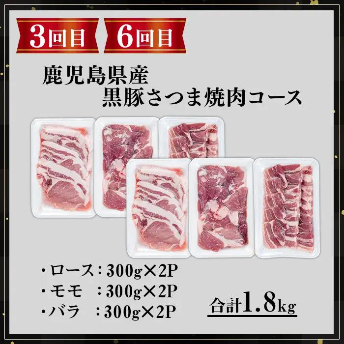 ＜定期便・全6回＞さつま黒豚食べ比べ定期便 (合計10.2kg) 黒豚 豚肉 小分け 【KNOT】 T84