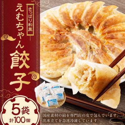 ふるさと納税 美濃加茂市 えむちゃん餃子　ノーマル5袋100個 |  | 01