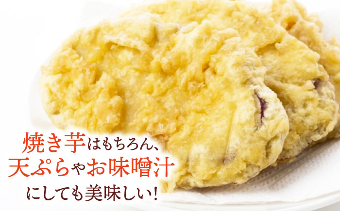 さつまいも（紅はるか）10kg 愛媛県大洲市/たいき産直市愛たい菜 [AGAP021]