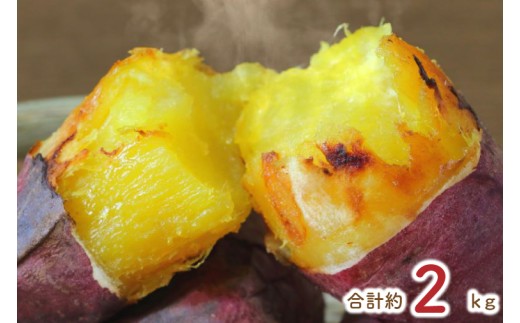 ★少し大きめサイズ★熟成紅はるか約1.8kg＋おまかせ品種さつまいも約200g  合計約2kg｜さつまいも サツマイモ さつま芋 焼き芋 やきいも 冷凍 冷凍焼き芋 紅はるか 茨城県 行方市(EY-2)
