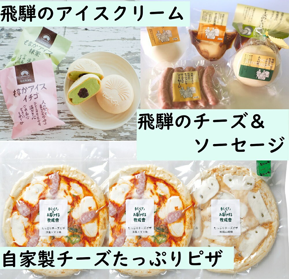 【ふるさと納税】＜牧成舎＞飛騨の乳製品特選セット(アイス・チーズ・ピザ)