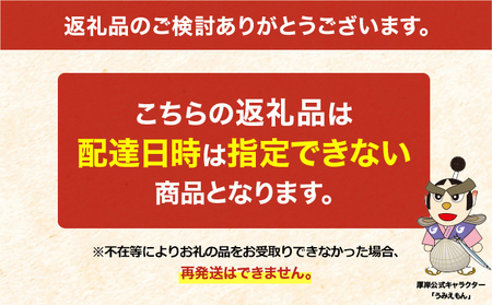 北海道 厚岸産 殻付き 牡蠣 Lサイズ 30個
