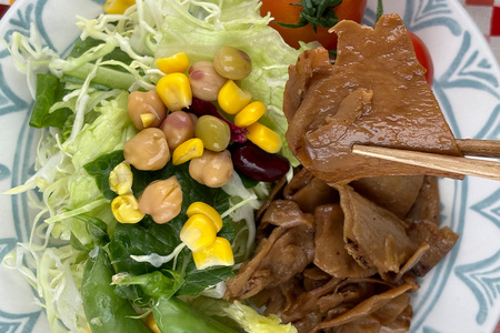 国産有機大豆ミート生姜焼き 100g × 4パック 植物性原料使用 ヴィーガン対応 JAS認証取得 お肉のような食感 ボリューム満点 ヘルシー食品 健康志向 冷凍保存 簡単調理 茨城県 潮来市 (A6