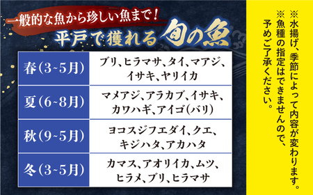 旬の獲れたて鮮魚冷凍4-5種類【株式会社ひらど新鮮市場】[KAB007]/ 長崎 平戸 魚介類 魚 内臓処理済 刺身 たたき 刺身 塩焼き 刺身 漬け丼 刺身 しゃぶしゃぶ 刺身 アレンジ 刺身 冷凍