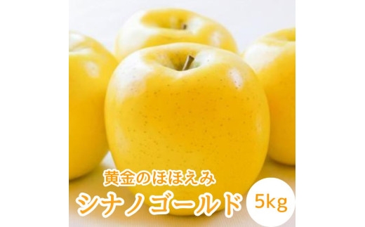 【南信州高森産】黄金のほほえみシナノゴールド5kg 秀 10月下旬発送 長野県 信州 農家直送 果物 くだもの 旬のりんご 萩山農園