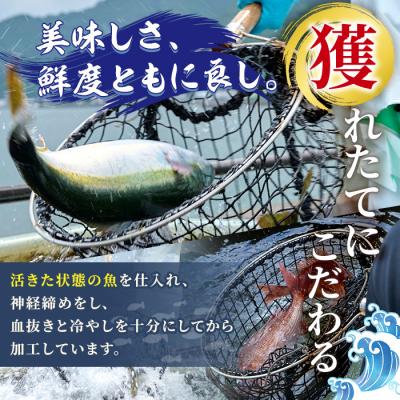 ふるさと納税 佐伯市 マダイ 刺身用 ブロック 冷蔵(1匹分・4-5人前) |  | 02