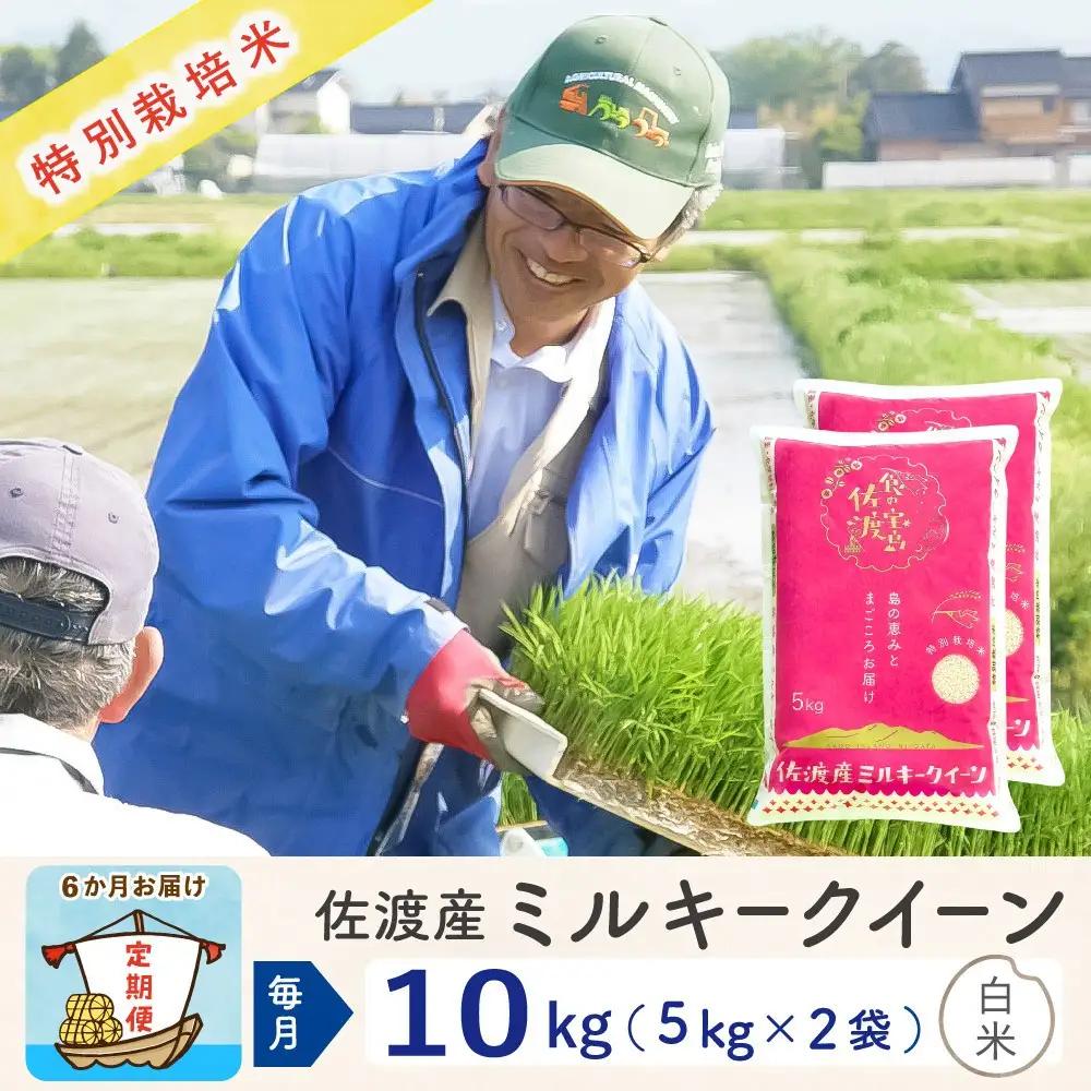 【定期便 新米 10kg 6回】 白米 令和8年 計 60キロ | 新潟県 佐渡市 ミルキークイーン