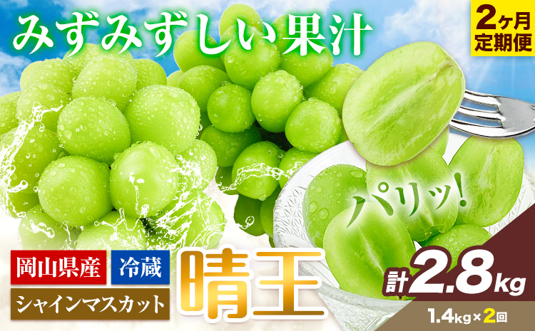 2ヶ月 定期便 シャインマスカット 晴王 約1.4kg 《9月上旬-10月末頃出荷(土日祝除く)》 【配送不可地域あり】（北海道・沖縄・離島）---124_c984tei_9j10m_24_73000_sep2---