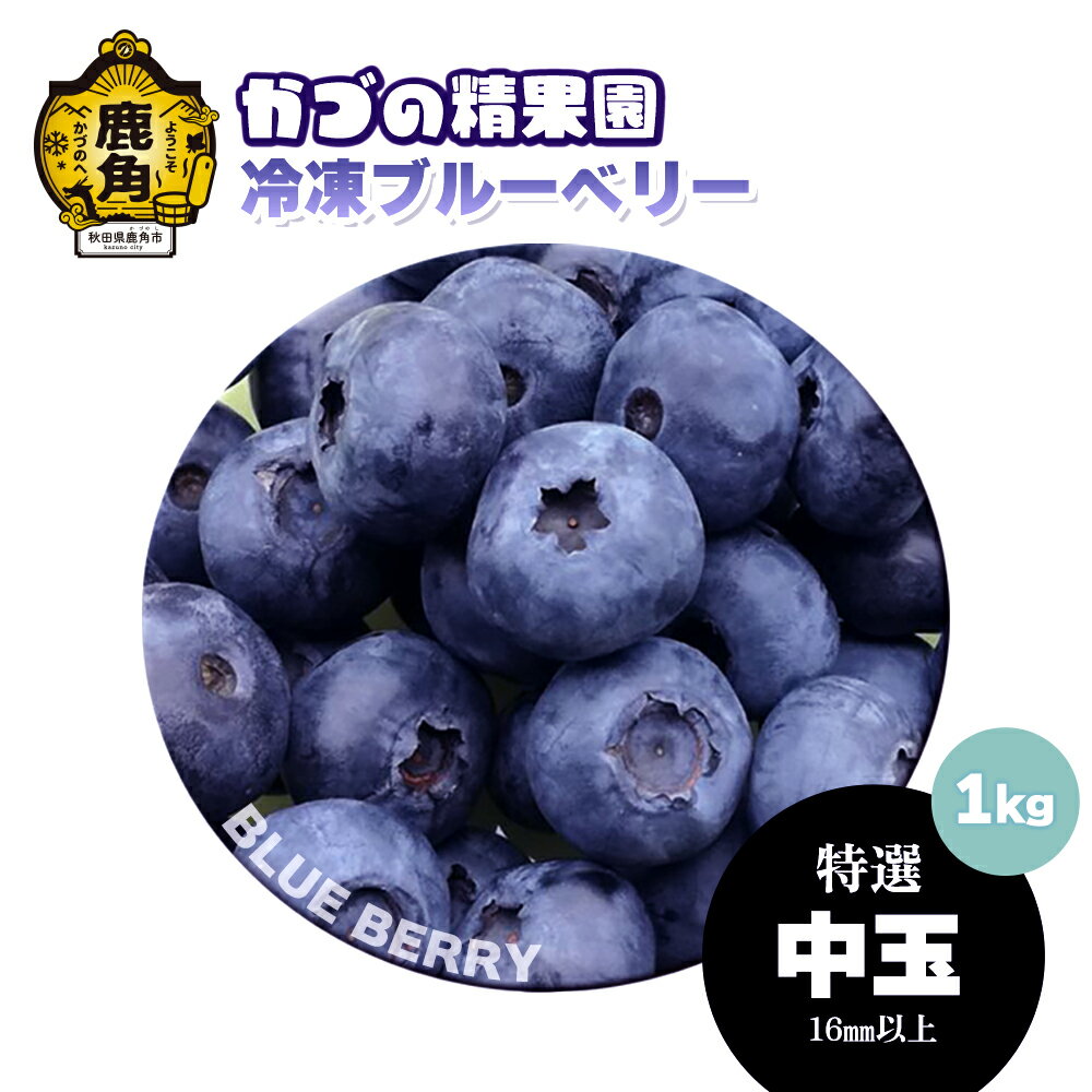 【ふるさと納税】《 先行予約 》ブルーベリー 特選 中玉 1kg 冷凍 選べる 選択 定期便 3ヶ月 6ヶ月 無農薬 新鮮 旬 国産 冷凍 ジュース スムージー レシピ 栄養 ダイエット お取り寄せ 母の日 父の日 グルメ ギフト 故郷 秋田 あきた 鹿角市 鹿角 送料無料 【かづの精果園】