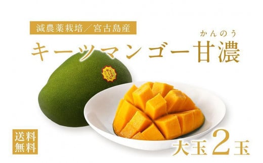★品切れ★《先行予約》沖縄県宮古島産 減農薬栽培 キーツマンゴー甘濃（かんのう）2玉【琉球マルシェ】