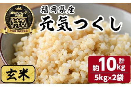 ＜数量限定＞令和7年産 福岡県産 玄米 元気つくし(計10kg・5kg×2袋) お米 こめ コメ 玄米 ブランド米 10キロ ごはん ご飯 常温 常温保存【ksg1330-B】【おどろきっちん】