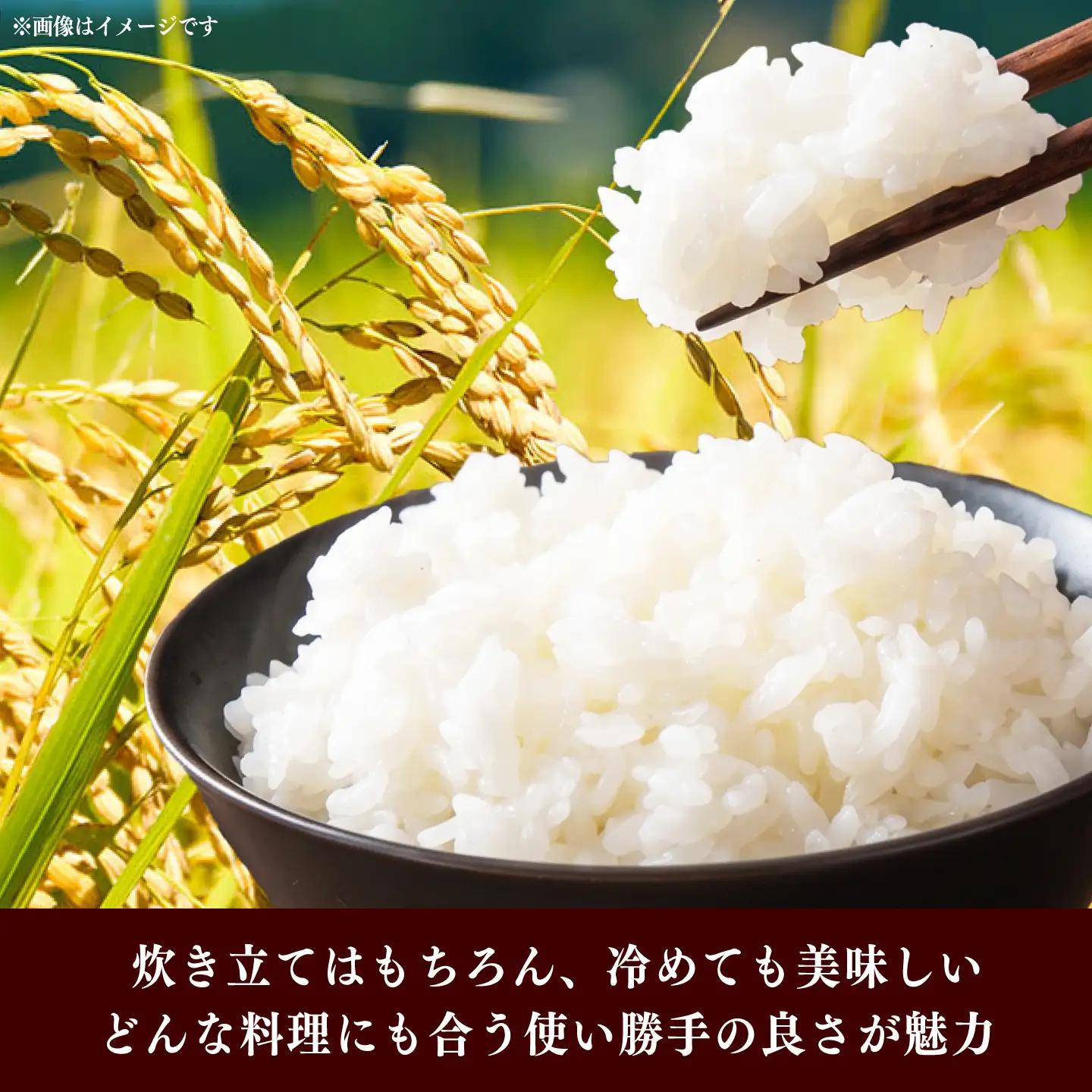 令和7年産　福岡県　夢つくし　15kg（5kg×3袋）《築上町》【カネガエ】[ABFA003]