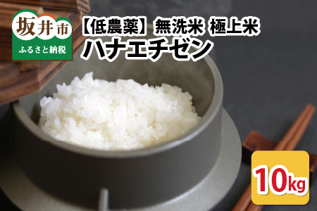 【令和6年産・新米】【低農薬】福井県産 極上米 10kg 無洗米 《ハナエチゼン》[C-8807_02]