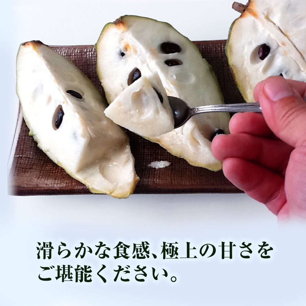【2026年12月中旬から順次発送】アテモヤ 2kg “森のアイスクリーム”とも呼ばれる希少なフルーツ_イメージ3