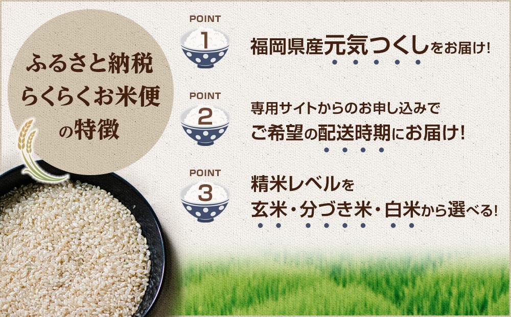 【特A評価獲得！福岡県産元気つくしをお届け】ふるさと納税 らくらくお米便 30kgコース