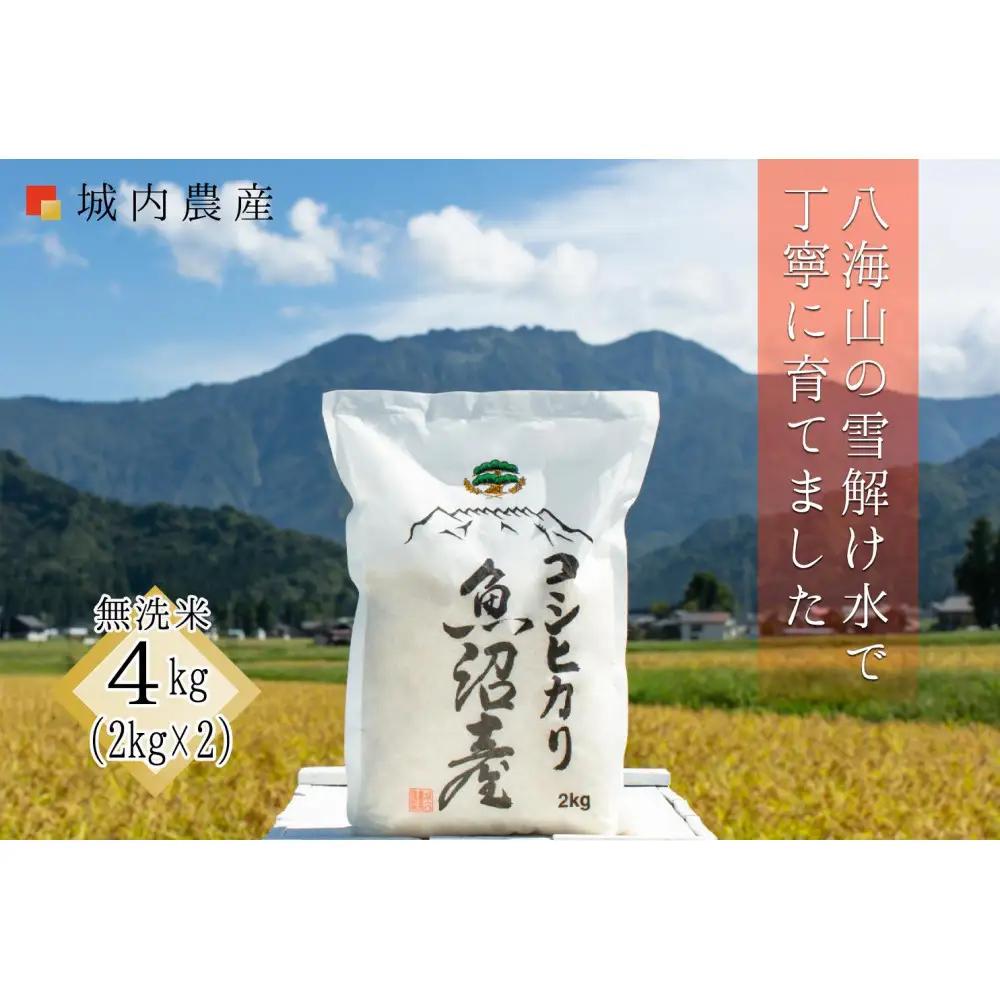 【令和８年新米予約】南魚沼産コシヒカリ 無洗米４kg（２ｋｇ×２）【５割減農薬栽培米】城内農産 ｜コシヒカリ【2026年9月下旬から1ヶ月以内に順次発送予定】