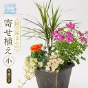 【ふるさと納税】園芸屋さんの寄せ植え小 山形県 新庄市 F3S-0292