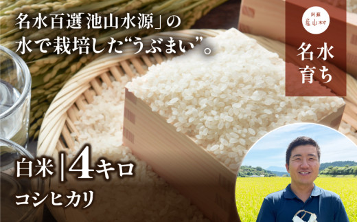 【令和６年産新米】うぶまい(コシヒカリ白米)4kg〈阿蘇の名水　池山水源米〉