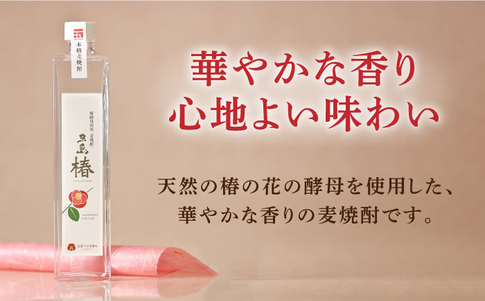 【数量限定！本格麦焼酎2本セット】長崎・五島列島酒造 麦焼酎 五島麦720ml・五島椿500mlセット Alc.25% 23% お酒 焼酎 五島市/五島列島酒造 [PAH004]