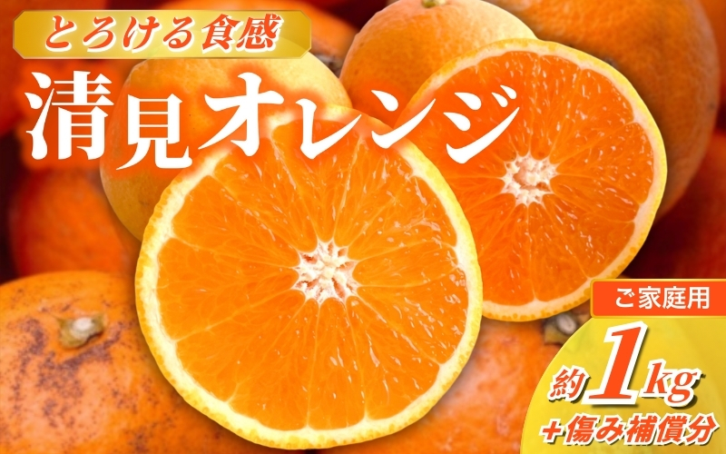 ＜2月より発送＞家庭用 清見オレンジ1kg+250g（傷み補償分）【光センサー食頃出荷】【樹上完熟きよみオレンジ・清見タンゴール・清美】【わけあり・訳あり】/ フルーツ 果物 くだもの 柑橘【ikd164B】