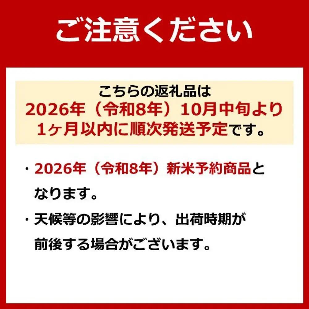【令和8年 先行予約】【定期便12ヵ月】南魚沼産新之助10kg一等米（5kg×2袋）（10kg×12回）【塩沢地区】【2026年10月中旬より1ヶ月以内に順次発送予定】｜新之助