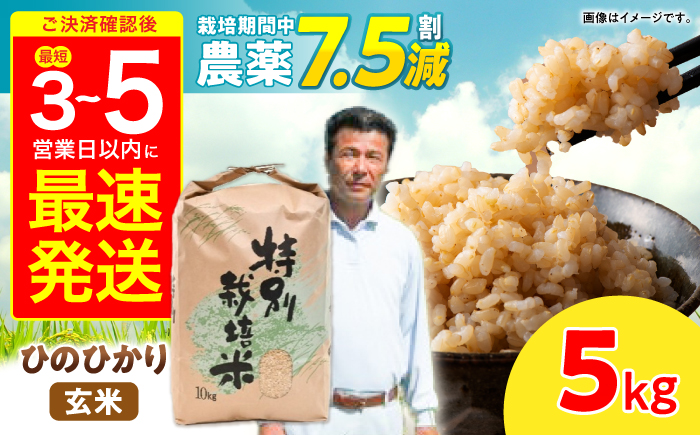【R7年産】九州のこだわり「ひのひかり」玄米 5kg / 米 こめ お米 おこめ 玄米 げんまい ひのひかり ヒノヒカリ 長崎県産 / 諫早市 / 上島農産 [AHAS015]