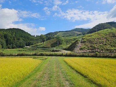 氣米　ミルキークイーン　2kg ／ 百姓yukinobu 米  精米 有機栽培 三重県 度会町