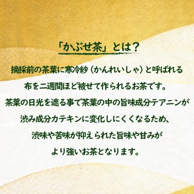 ふるさと納税 佐世保市 世知原茶 青々しい薫りと旨みの上かぶせ |  | 02