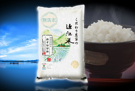 【7年産】 近江米 みずかがみ 無洗米 5kg 【BN15W】 近江米 環境こだわり米 滋賀県産 無洗米